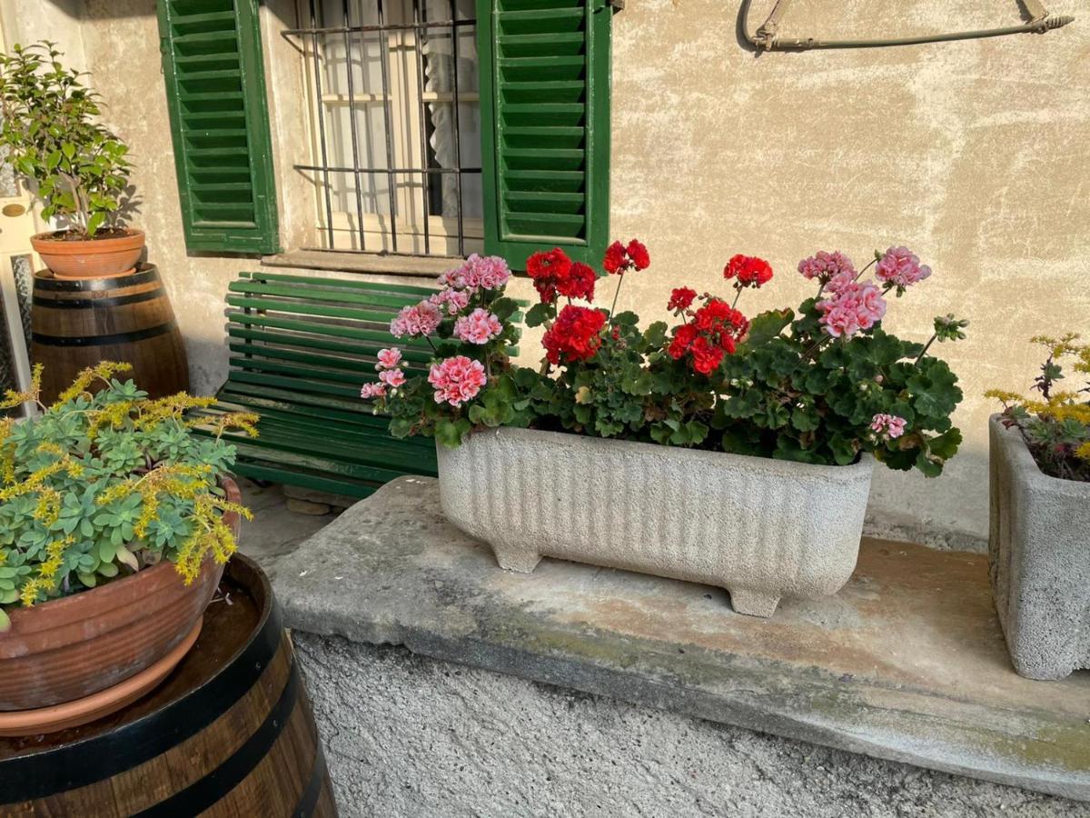 The Montevecchia Home - Frida Apartment Exterior foto